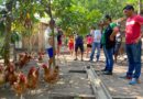 Prefeitura de Manaus promove curso de ‘Boas Práticas para a Avicultura’ para criadores do Alto Rio Negro