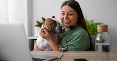 Telemedicina veterinária facilita atendimento a pets