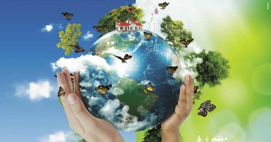 Dia Mundial do Meio Ambiente é celebrado em 5 de junho