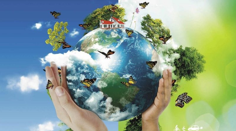 Dia Mundial do Meio Ambiente é celebrado em 5 de junho