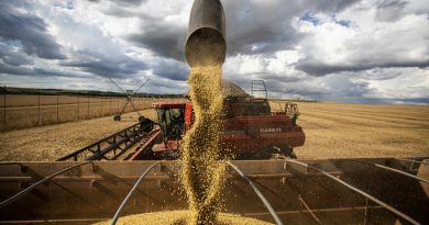 Falta de clareza na lei antidesmatamento europeia preocupa agroexportadores
