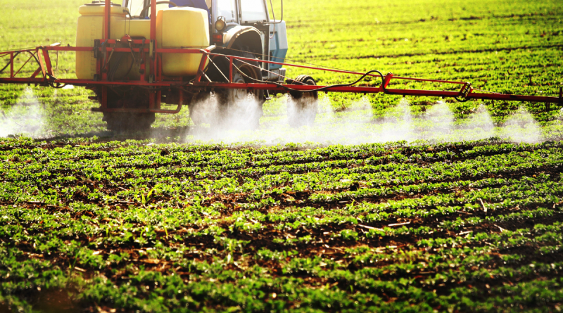 Publicação aponta uso de pesticidas em alimentos infantis