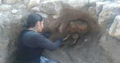 Historiadora explica o uso de radiocarbono na Arqueologia