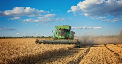 Puxado pelo agronegócio, PIB de Mato Grosso cresce 1.116,2%