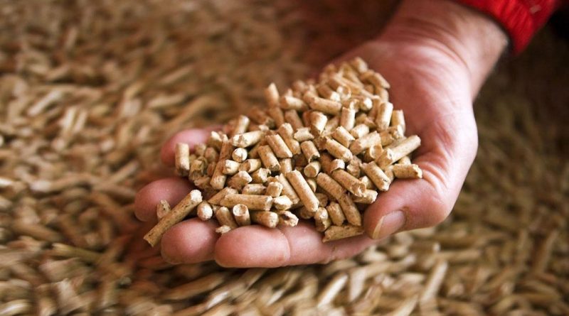 Relatório prevê crescimento do mercado de pellets de madeira