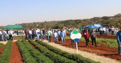 Feira Nacional do Amendoim começa neste dia 7 de agosto