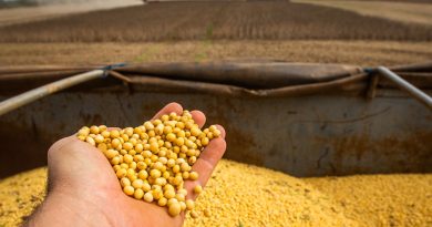 Recuperação judicial no agro segue em alta