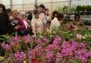 Festa de Flores e Morangos atrai 80 mil visitantes