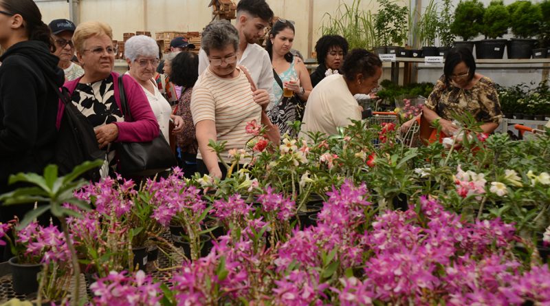 Festa de Flores e Morangos atrai 80 mil visitantes