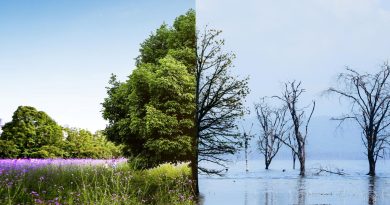 Evento debaterá o futuro do ESG e da sustentabilidade