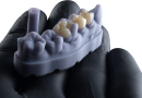 FGM Dental Group e dOne 3D apresentam a Voxelprint Ceramic