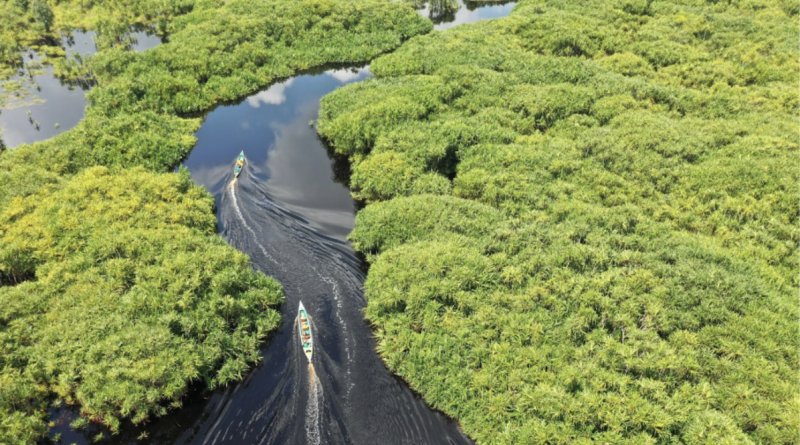 Belterra, na Amazônia, quer ser a "Machu Picchu brasileira"