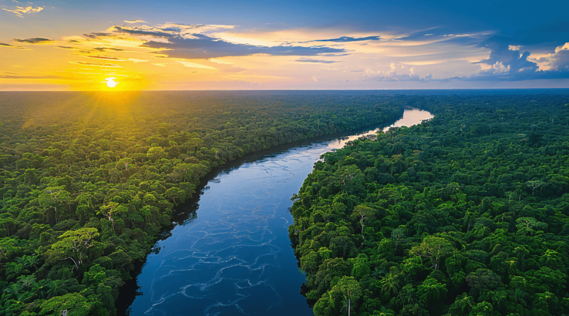 Amazônia é foco de conferência internacional em novembro