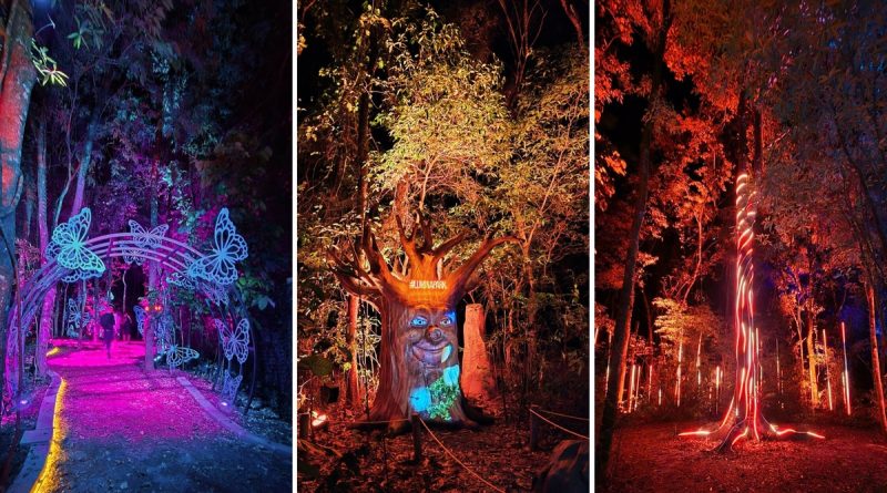 Wonder Park Foz inaugura nova atração "Lumina"