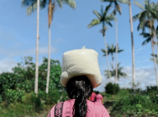 Mulheres lideram soluções climáticas locais no Brasil