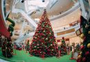 Boulevard Shopping celebra o “Natal Divertido dos Ursos”